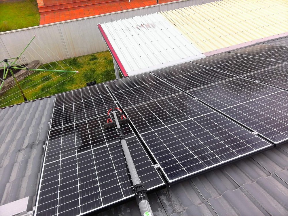 Cleaning rooftop solar panels with a soft brush on a water-fed pole