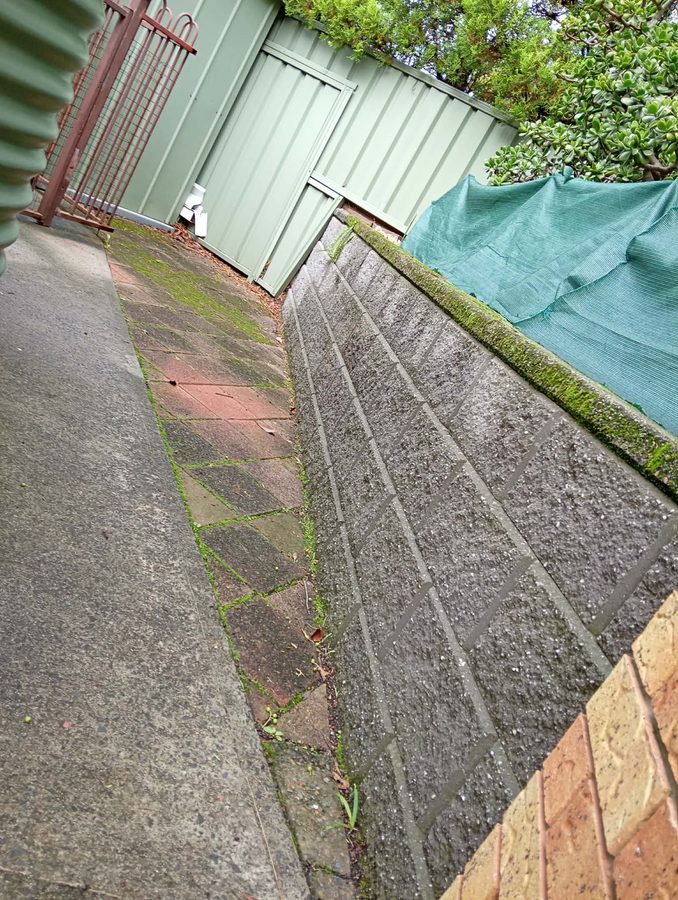 Before: a mossy, stained side path and retaining wall
